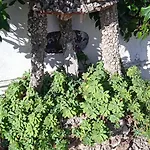 住宿加早餐酒店 Eden 4*