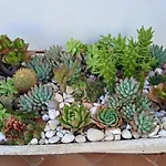 住宿加早餐酒店 Eden