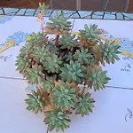 住宿加早餐酒店 Eden 4*