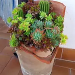 住宿加早餐酒店 Eden 4*