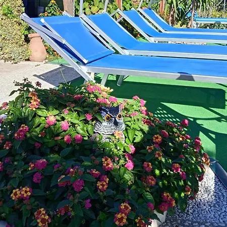 Bed & Breakfast Eden